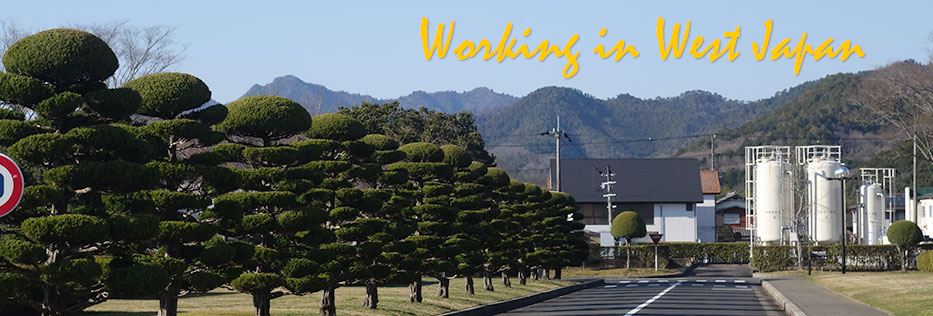 Sushi and Castles in Western Japan 